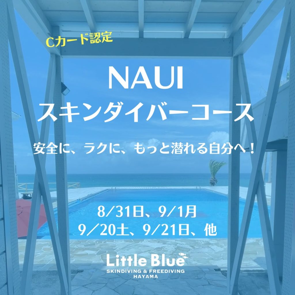 NAUIスキンダイバーコース