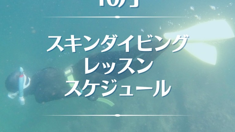 554858403_1298956258939343_8632685066543604165_n