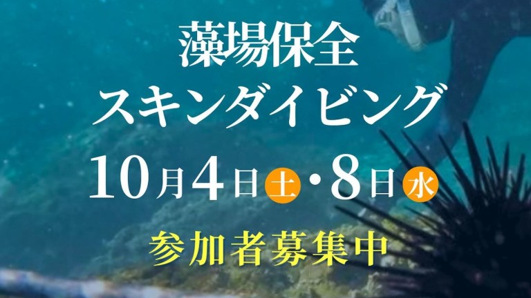 554234862_18080594900503821_3790510898623951670_n