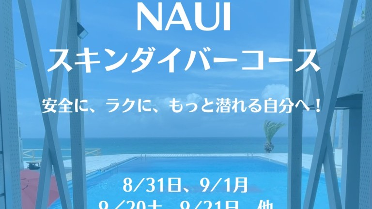 538615912_1271396168362019_4476821325562206631_n