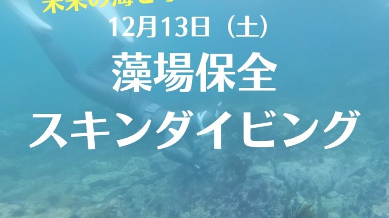 583449304_1346431964191772_1518637508462617475_n