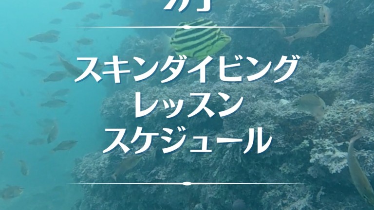 539375828_1271751991659770_2531990213457271353_n